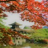 DSC00491