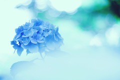 21AD6DD3-5BBB-4709-8BA3-C4AF983D39F5