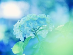 C7AA12FD-85D7-4421-8813-6AFEE660FD9F