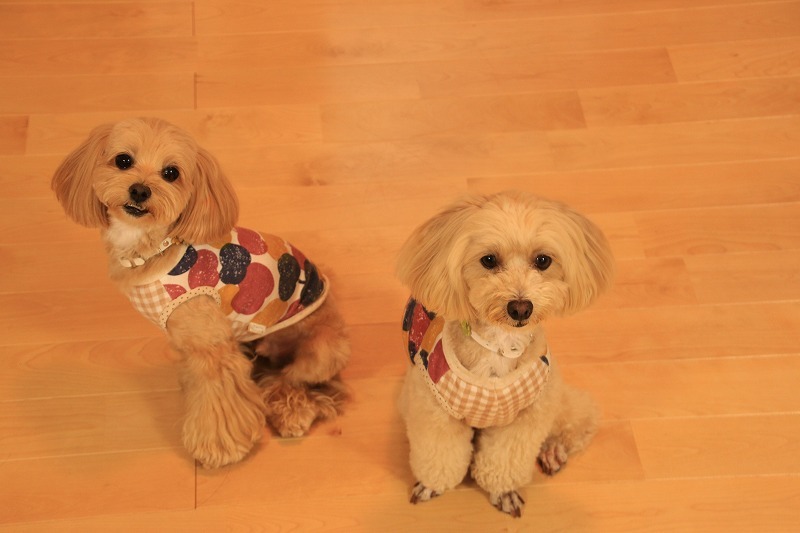 もこのお友達②