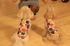 もこのお友達③