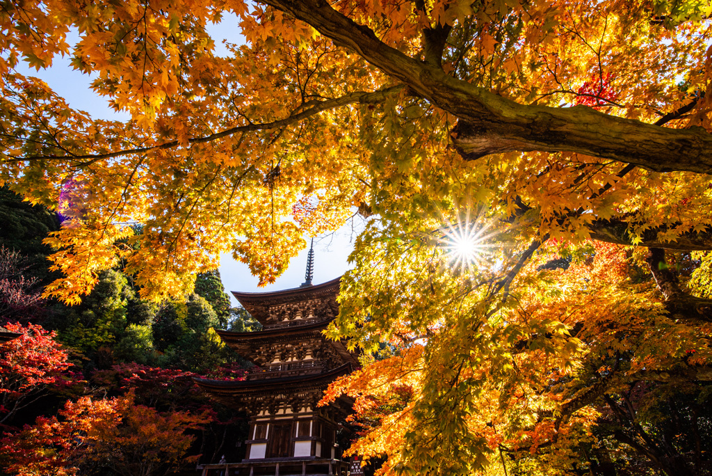 三重の塔