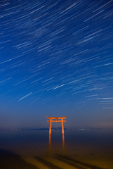 湖上の鳥居