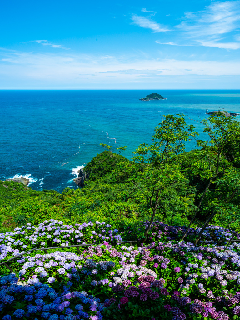 あじさいと海
