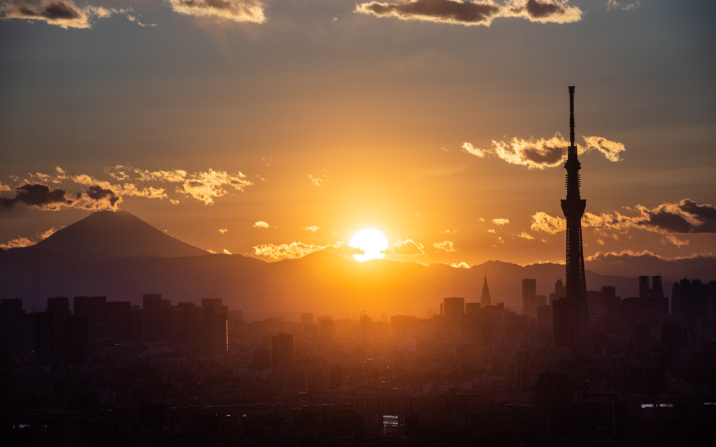 明日はまた来る！