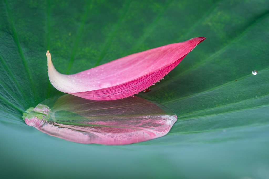 pink water