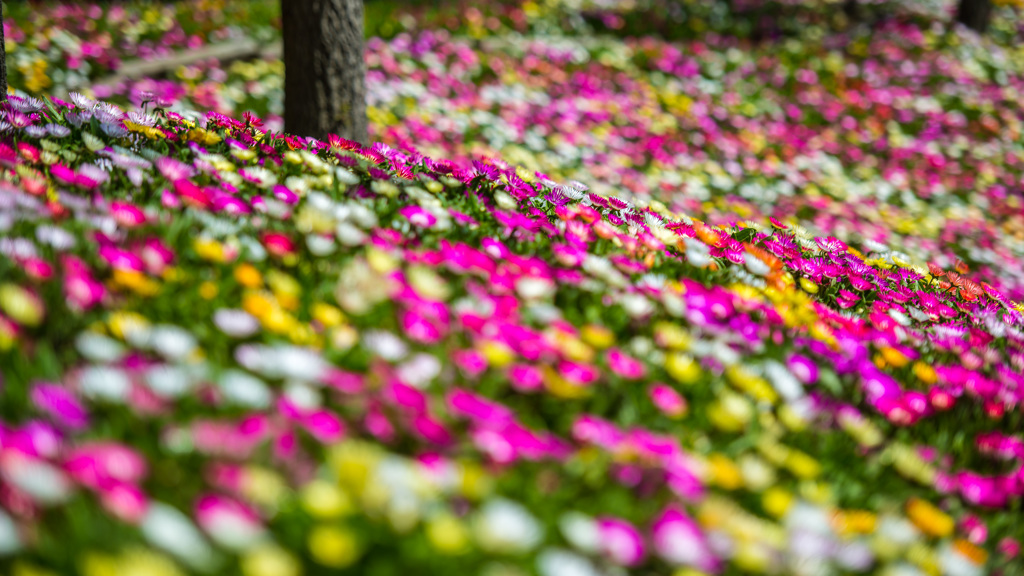 Colorful