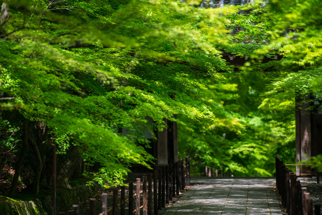 参道