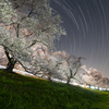 背割堤の夜