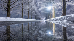 reflection マシマシ現像(^^;