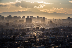 東京砂漠