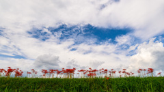 秋の空