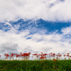 秋の空