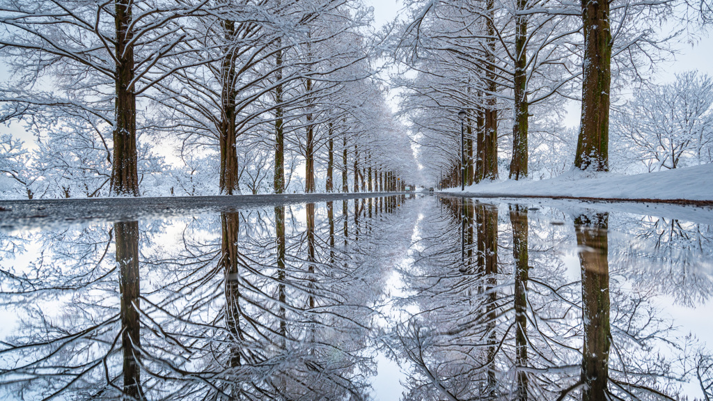 reflection