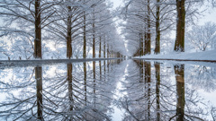 reflection