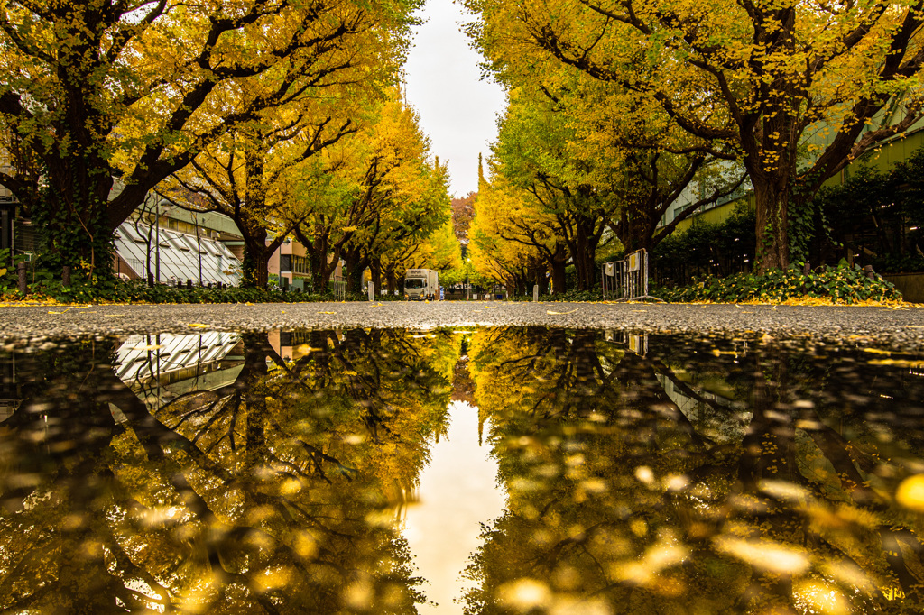 雨上がり