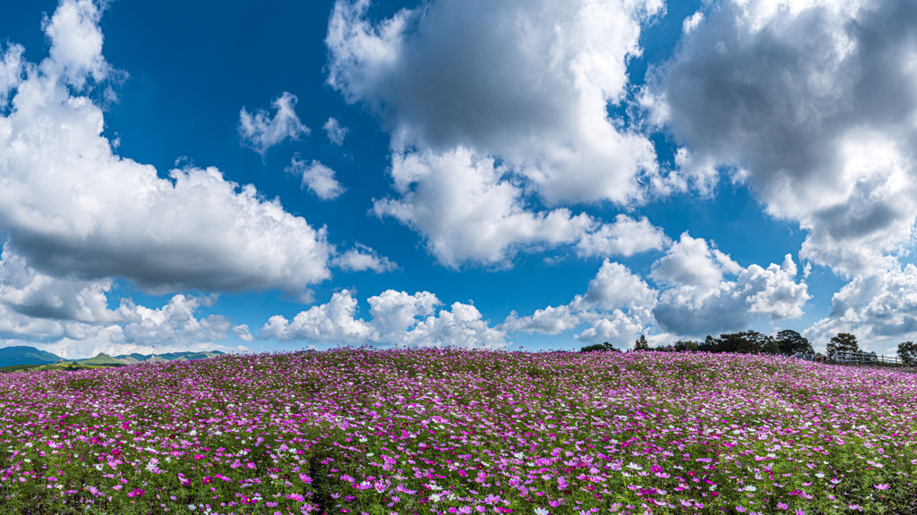 秋空