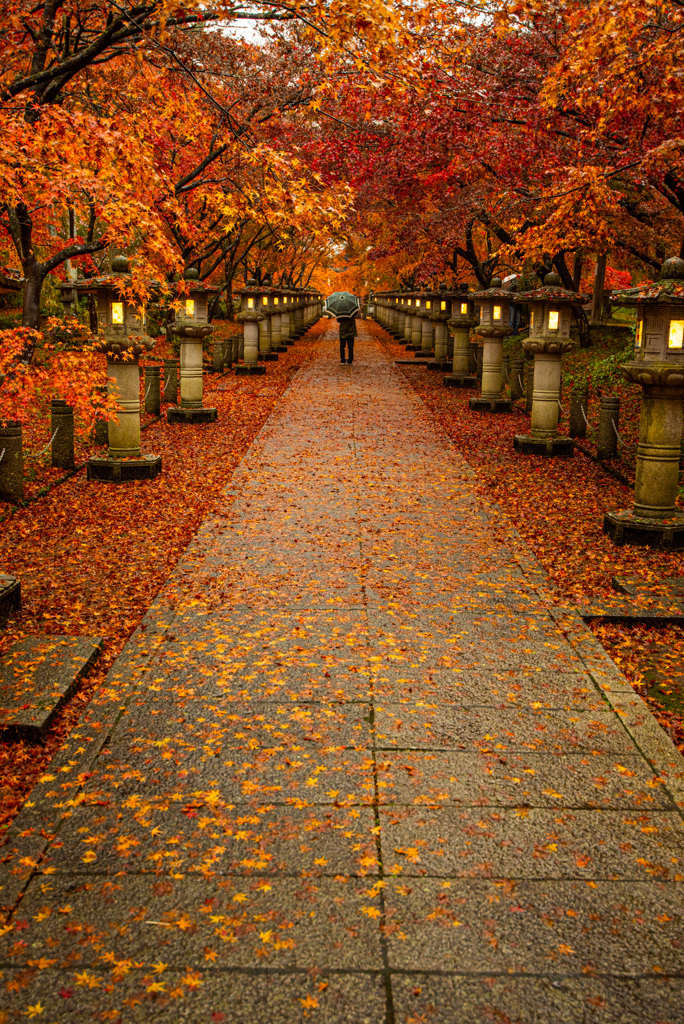 秋の参道
