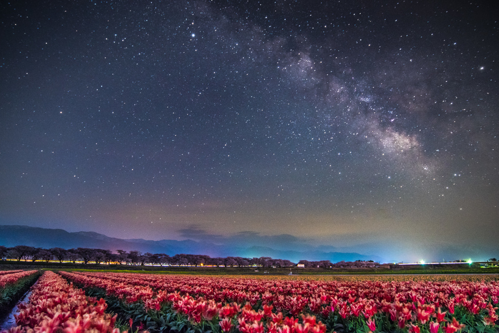 Spring Milky Way