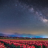 Spring Milky Way