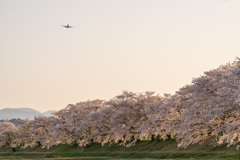 着陸態勢