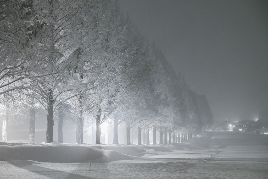 white night