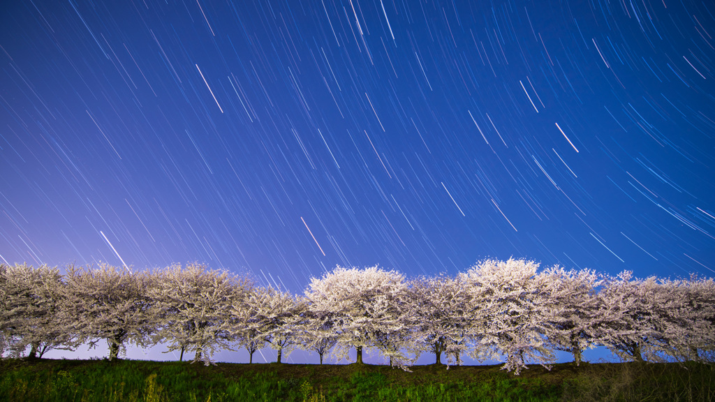 星の雨