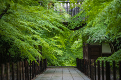 参道