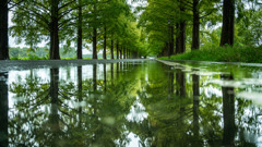 強引にリフレ-2