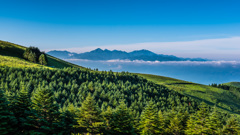 夏山