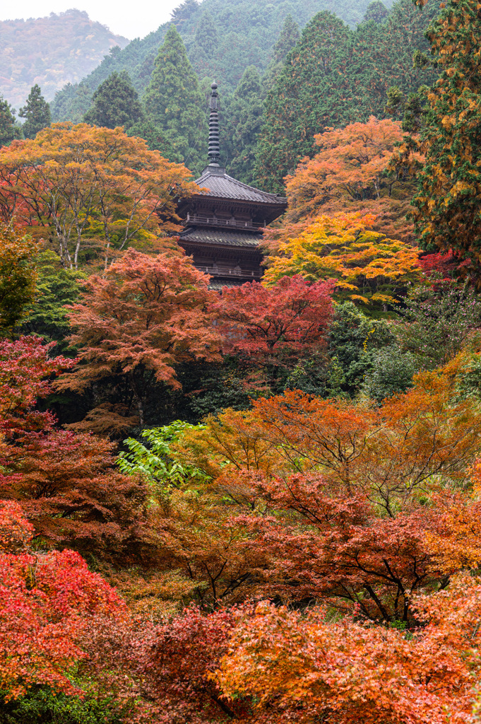 三重の塔