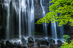 岩肌を流れる