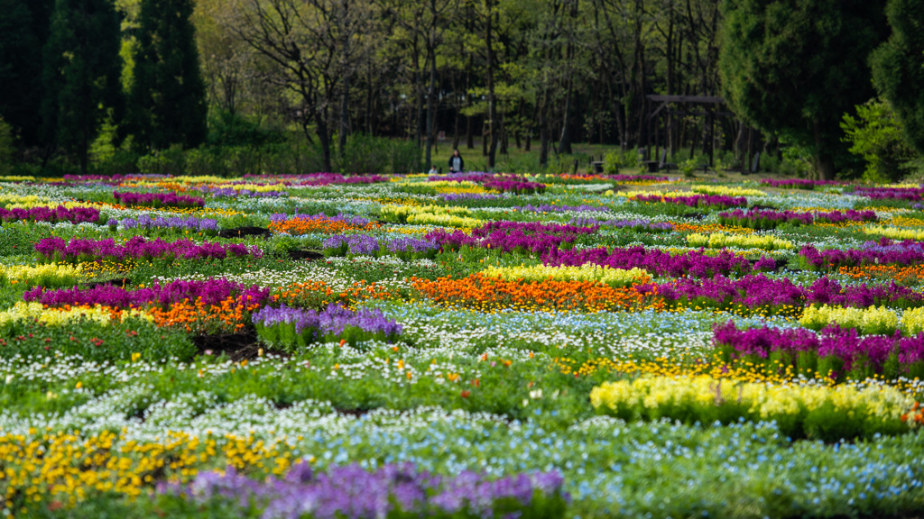 花の園