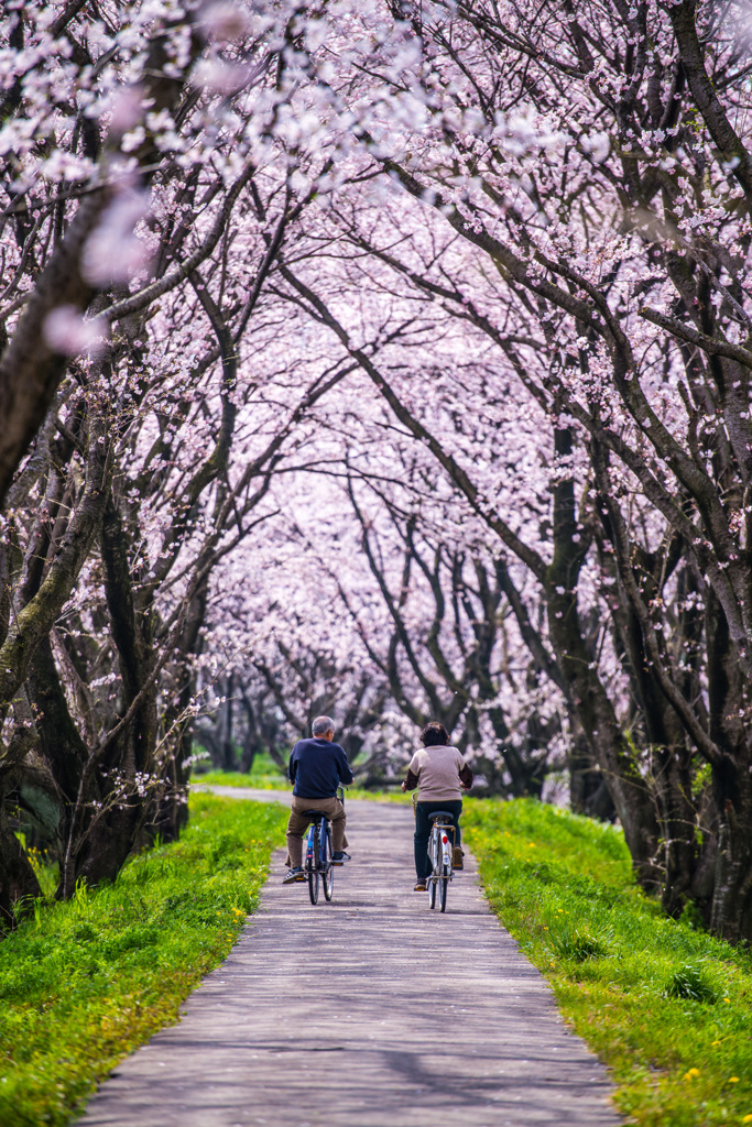 二人の歩んできた道