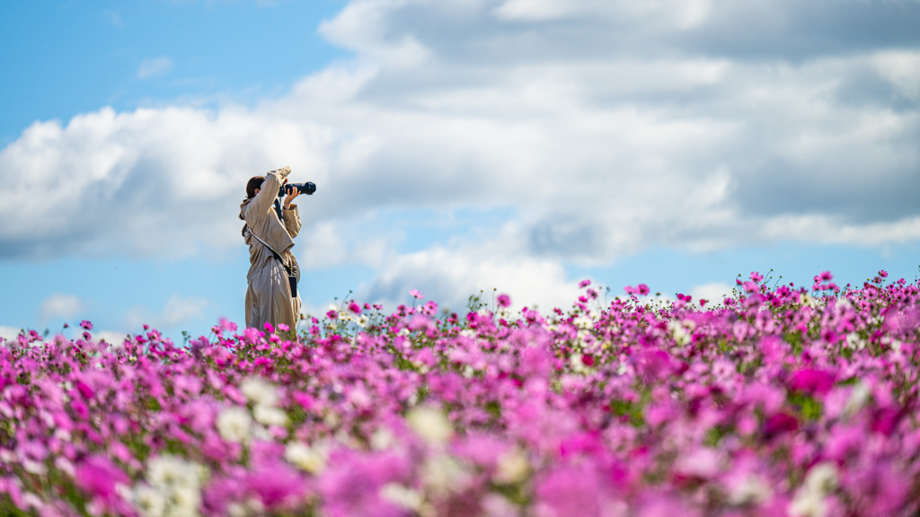 photographer