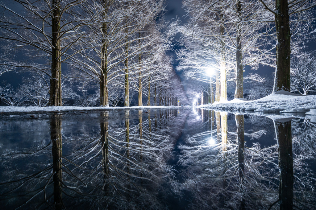 mirror