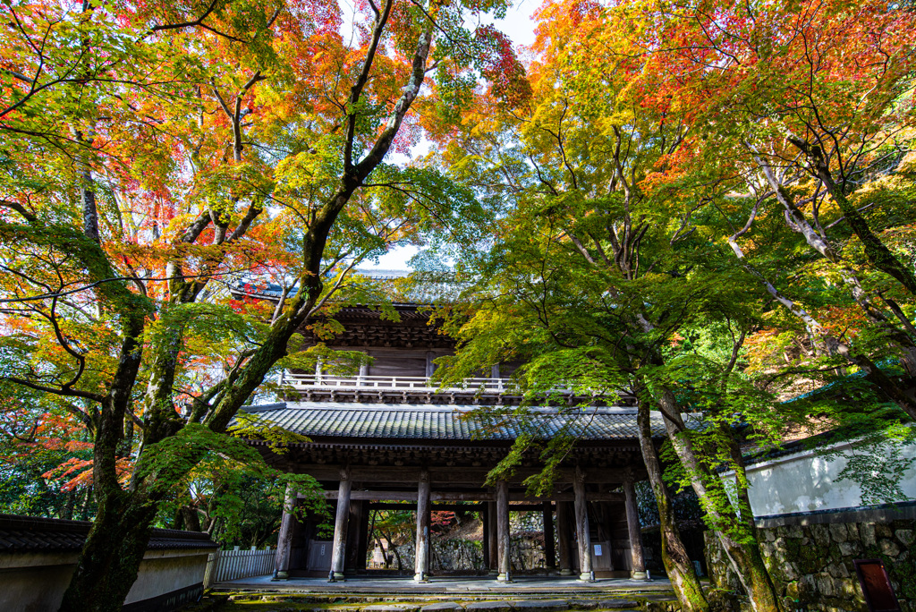 山門の朝(順光)