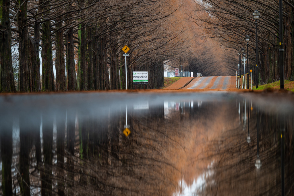 強引にリフレ(^^;