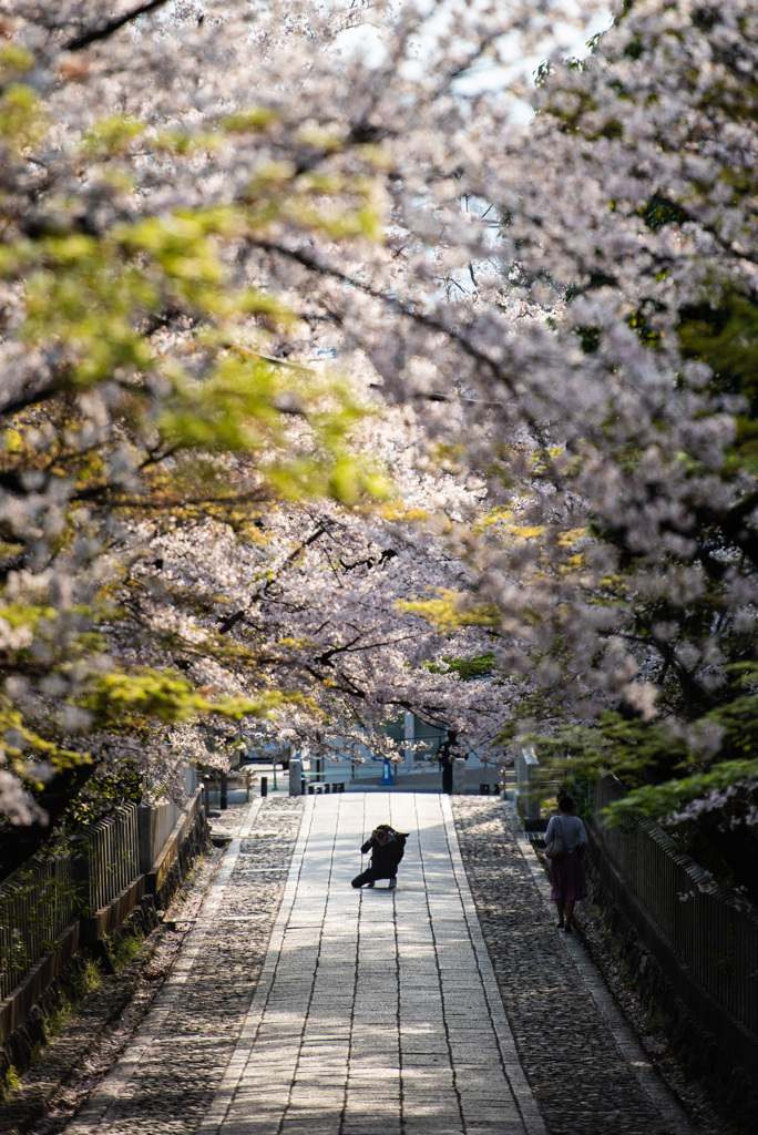 相撃ち