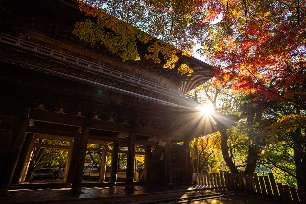 山門の朝