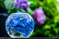 glass bowl