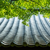 瓦