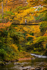 つり橋