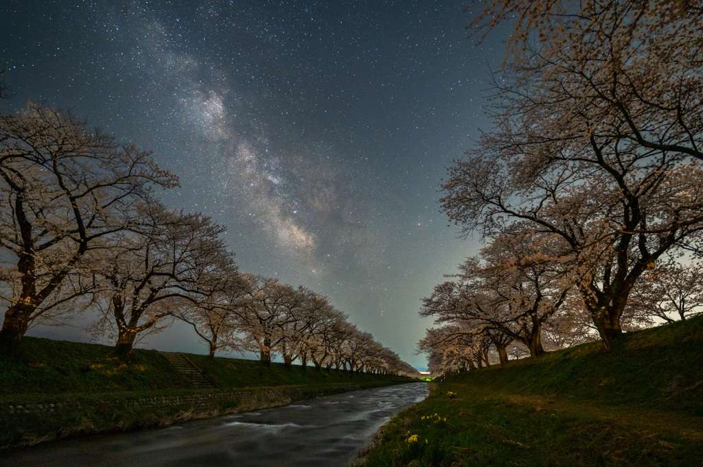 舟川べりの夜