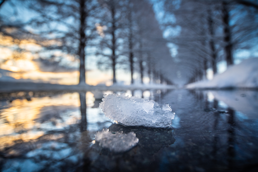 ice sorbet