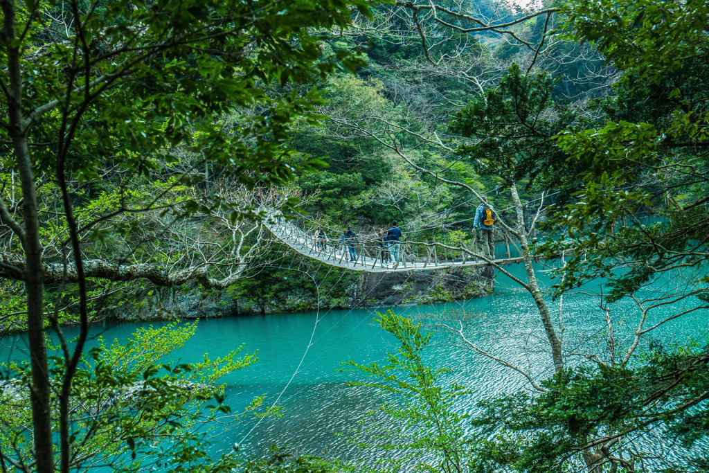 夢の吊り橋