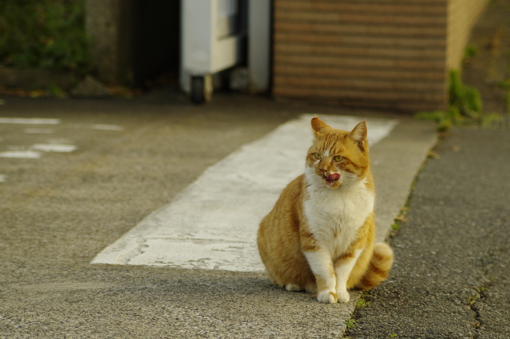 それ欲しいんだけど．．．