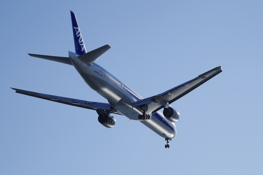 飛行機撮り挑戦②