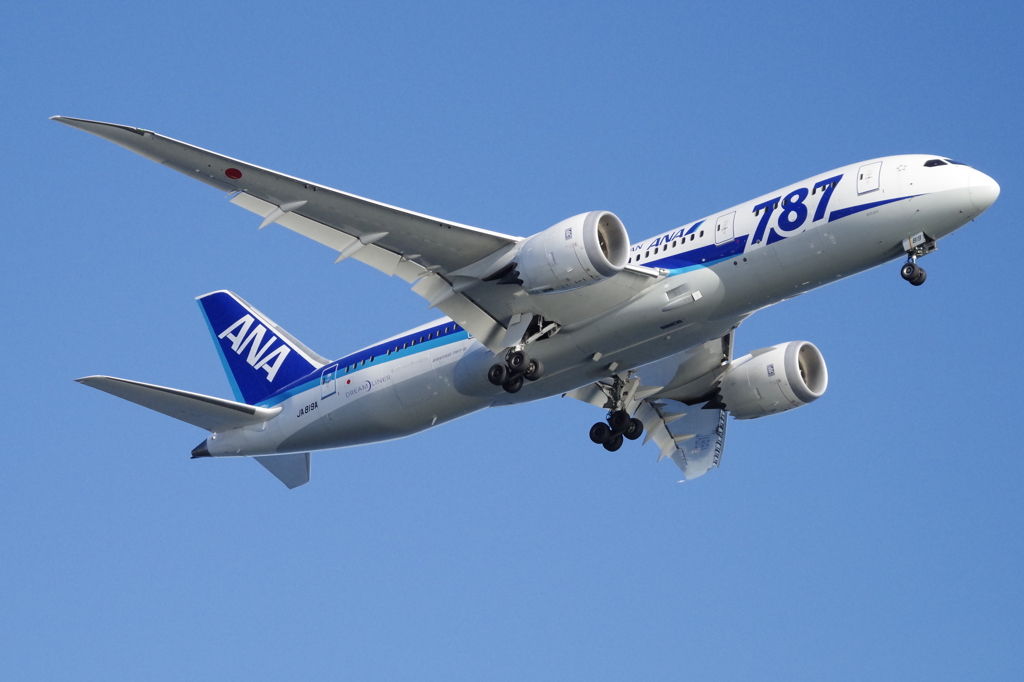 飛行機撮り挑戦⑦