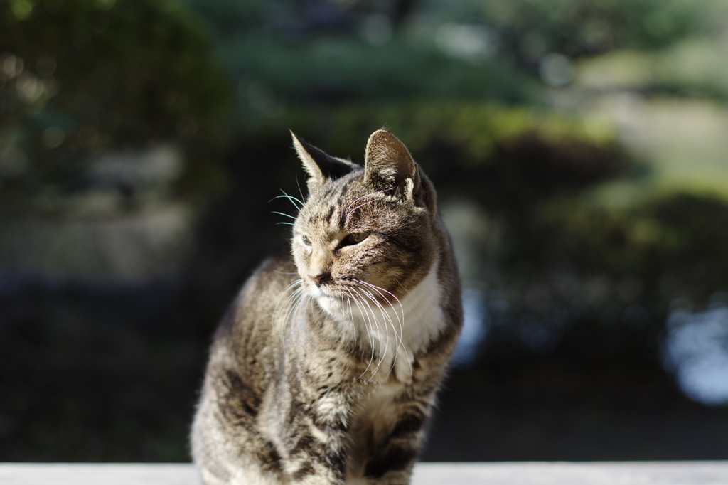 視線の先